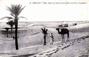 Touggourt - Dunes du Tombeau des Rois